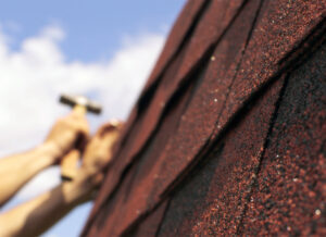 Shingle Myths
