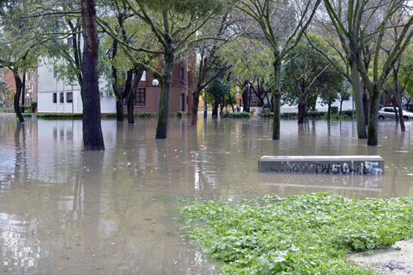 Flooded City Street